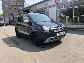 FIAT PANDA 2024 (73) at B V Rees Cardigan