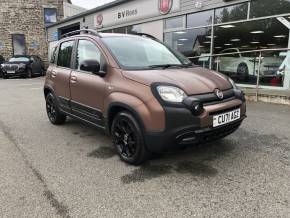 FIAT PANDA 2021 (71) at B V Rees Cardigan