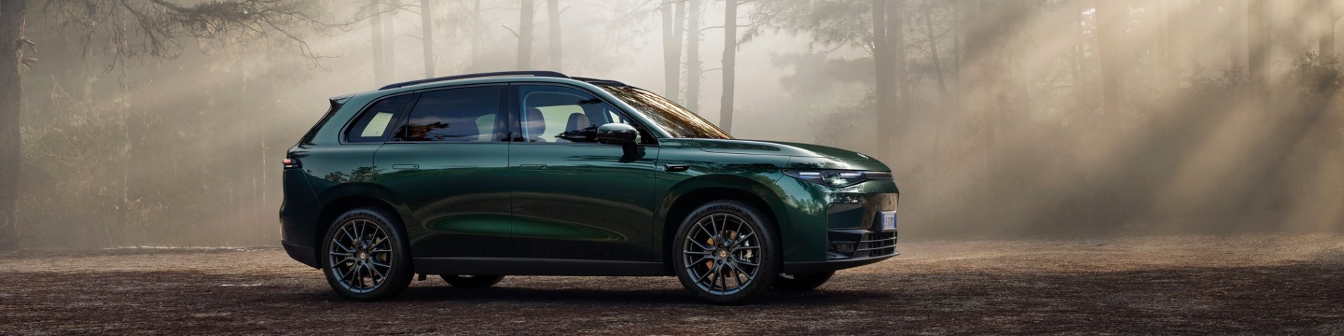 Leap Global Placeholder Banner