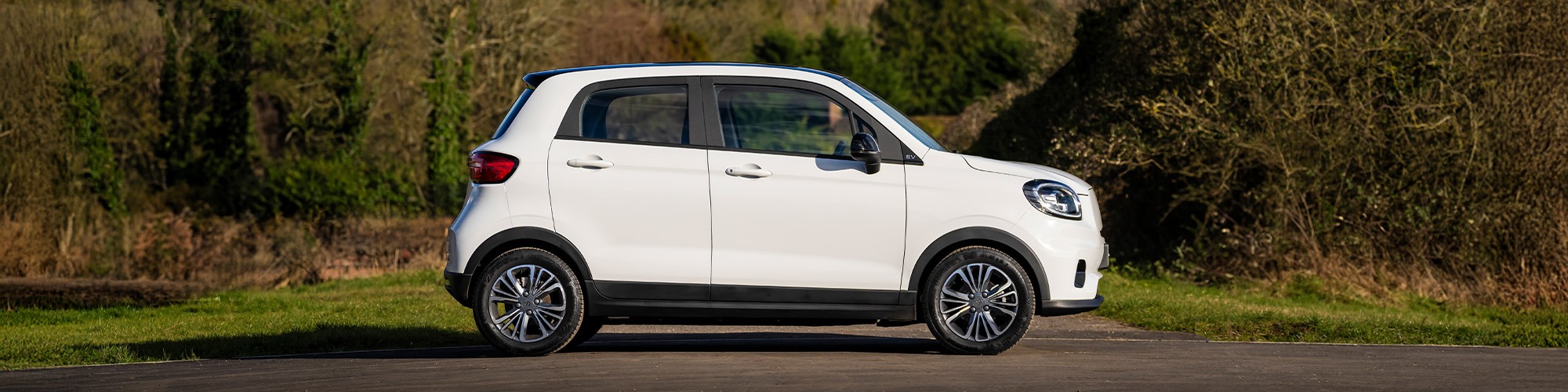 Motability at B V Rees Leapmotor